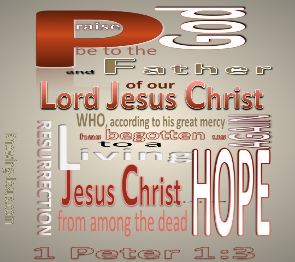 1 Peter 1:3 A Living Hope (gray)